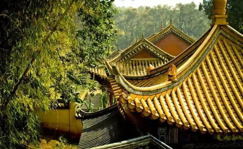 广济寺求姻缘拜哪个佛(广济寺求财)