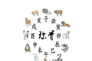 三两一钱女命姻缘(三两一钱女命运)