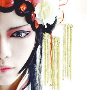 夙世姻缘是什么意思(夙世姻缘美凤凰)