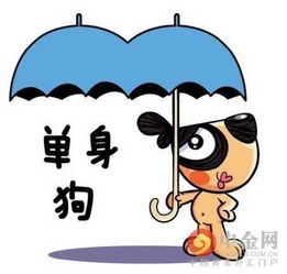 法喜寺姻缘御守打结(法喜寺姻缘御守有单身非单身的区别吗)