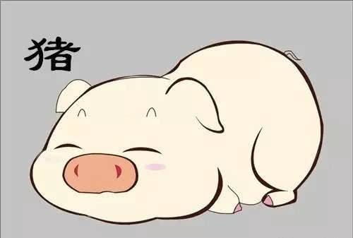属猪人姻缘怎么样(属猪的感情婚姻事业和每月运程)