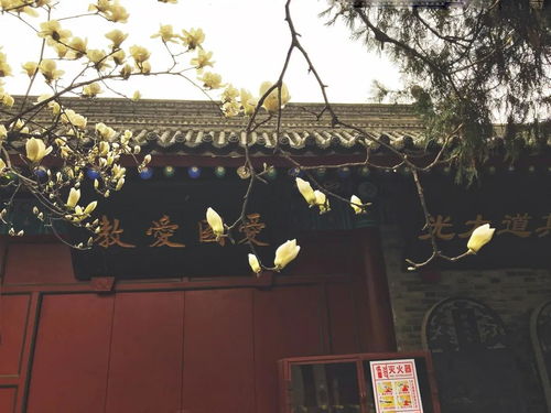 去庙里求姻缘怎么念(去庙里求姻缘需要带什么)
