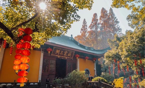 杭州灵隐寺能求姻缘吗(杭州灵隐寺能求姻缘吗现在)