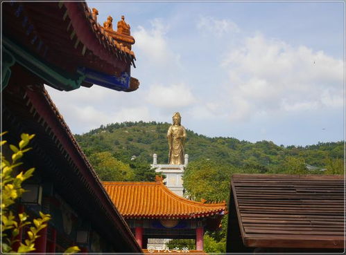 北普陀山求姻缘(北普陀山求姻缘拜哪个殿最灵)