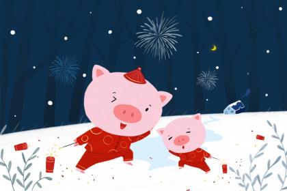 女属猪今年的姻缘好吗(属猪女今年感情怎么样)