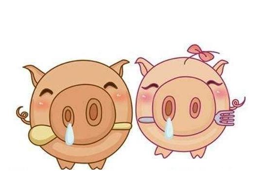属猪人今年的姻缘(属猪人今年的姻缘如何)