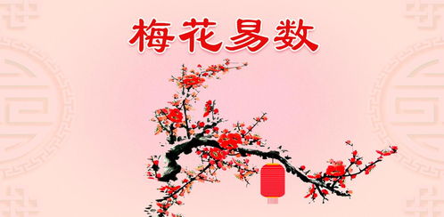 梅花易数测姻缘(梅花易数测姻缘测同一个人可以测两次吗)