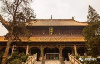 南岳 辰签姻缘签(南岳大庙姻缘签)