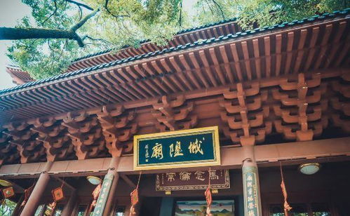 杭州灵隐寺求姻缘攻略(杭州灵隐寺求姻缘步骤)