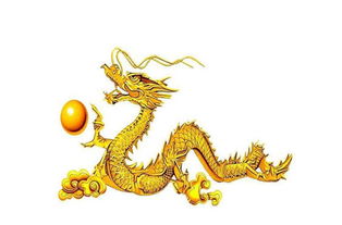 龙的姻缘搭配(龙 婚配)