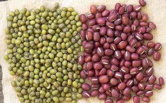 红豆催姻缘(红豆改运法)