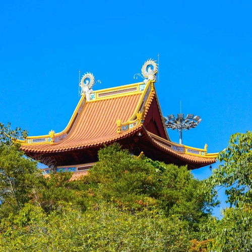 凤凰山求姻缘很灵(凤凰山 求姻缘)