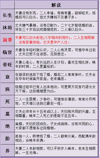 姻缘测试生辰八字(姻缘测试生辰八字查询)