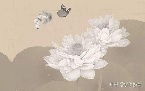 如何向菩萨求姻缘(如何向菩萨求婚姻)