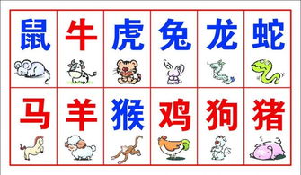 十二生肖姻缘配(十二生肖姻缘配对口诀速记)