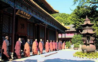 普陀寺求姻缘北京(普陀求姻缘需要去几次)