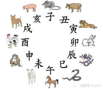 生肖配对姻缘 运势(生肖姻缘配对表)