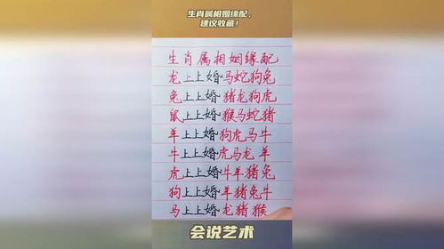 生肖配对姻缘运势(生肖配对查询爱情)