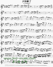 水姻缘mp3下载(水姻缘伴奏)