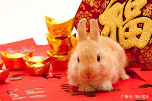 红轮西坠兔东升姻缘(红轮西坠兔东升阴长阳消百事亨若是女人求子)