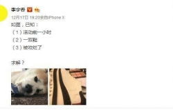 咬金聘仁贵 求姻缘(咬金聘仁贵求姻缘的隐喻)