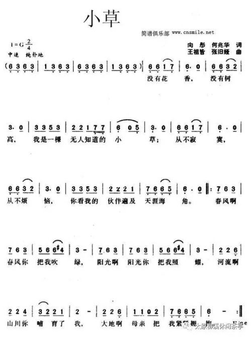 水姻缘歌词背景图(水姻缘歌曲原唱歌词)