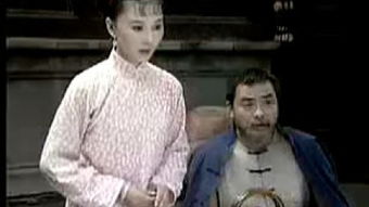 电视剧啼笑姻缘大人(电视连续剧啼笑姻缘早期大陆版)