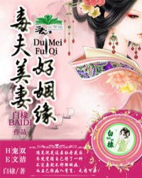 姻缘记之择夫记(姻缘系列)