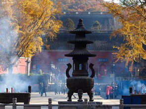 南京栖霞寺姻缘(南京栖霞寺求姻缘)