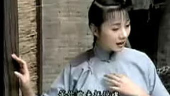 啼笑姻缘剧情介绍(电视连续剧啼笑姻缘早期大陆版)