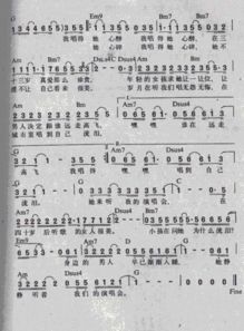 姻缘 演唱会(姻缘歌词中文)