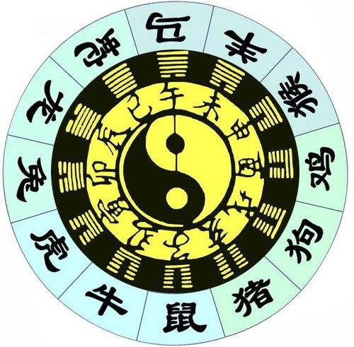 生肖姻缘算命(生肖婚姻算命)