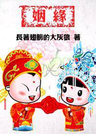 袖手姻缘 书包(袖手姻缘 小说)