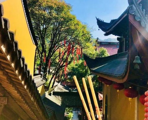 灵隐寺到法喜寺姻缘(灵隐寺到法喜寺观光车)