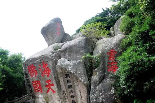 普陀山观音求姻缘(普陀山观音求姻缘要多少钱)