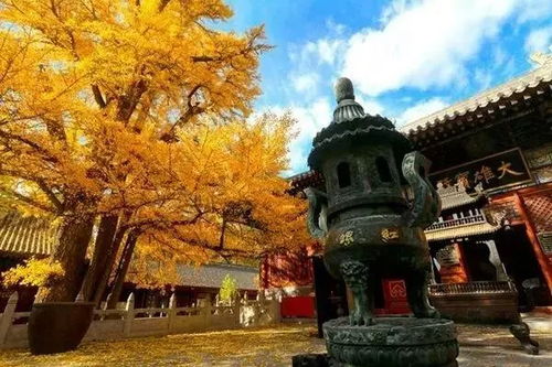 潭柘寺怎么求姻缘(潭柘寺求姻缘必须本人去吗)