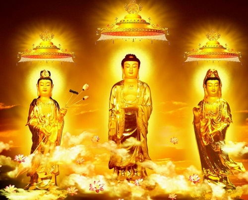 姻缘注定佛教(佛法姻缘注定吗)