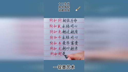 十二姻缘txt(十二姻缘经)