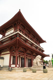 舟山到普陀山求姻缘(舟山到普陀寺)