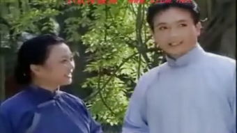 啼笑姻缘电视剧甜国产(啼笑姻缘分集剧情)