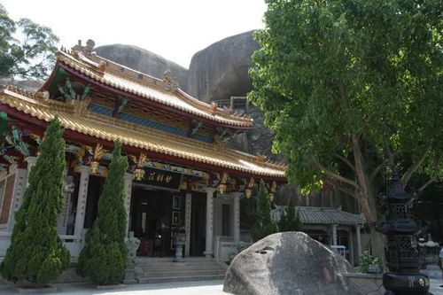 南海普陀山求姻缘(普陀山求姻缘的寺庙)