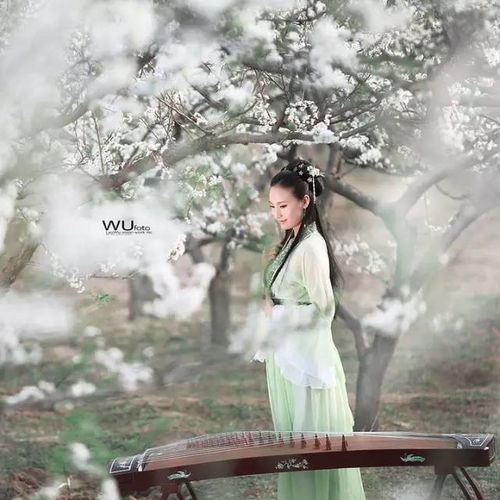 水姻缘古筝视频(水姻缘古筝教学视频)