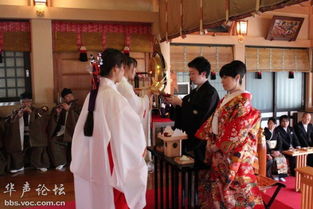 日本 姻缘 神社(日本神社婚礼)
