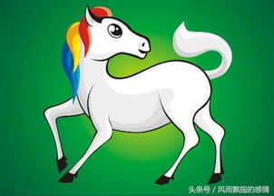 马的生肖姻缘(马的姻缘与什么配)