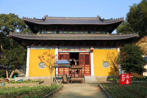 龙山寺姻缘(龙山寺遗址)