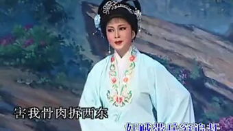 潮剧《生死姻缘》潮剧《生死姻缘》演员表、角色介绍及观众评价)