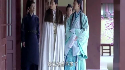 顾射陶墨 姻缘(陶墨顾射虐文)