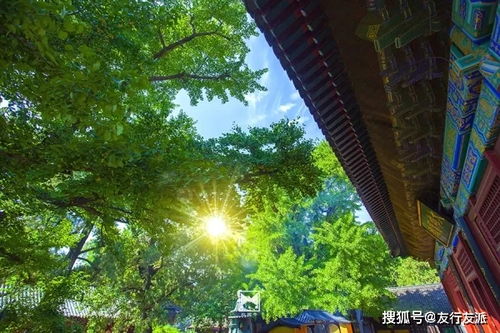 红螺寺求姻缘的寺庙(红螺寺求姻缘的寺庙是哪个)