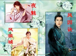 袖手姻缘大人(袖手姻缘晋江)