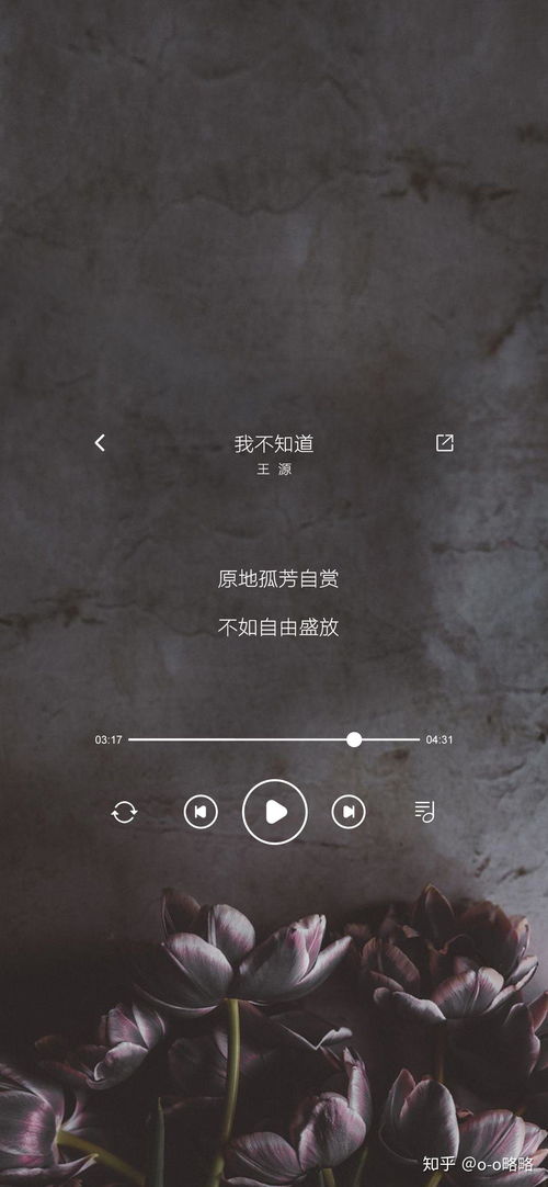 水姻缘歌词壁纸(水姻缘 歌词)